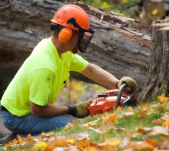 tree services South Lockport